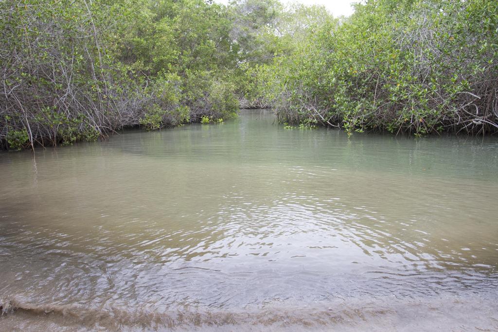 Paraiso De Isabela Puerto Villamil Zewnętrze zdjęcie