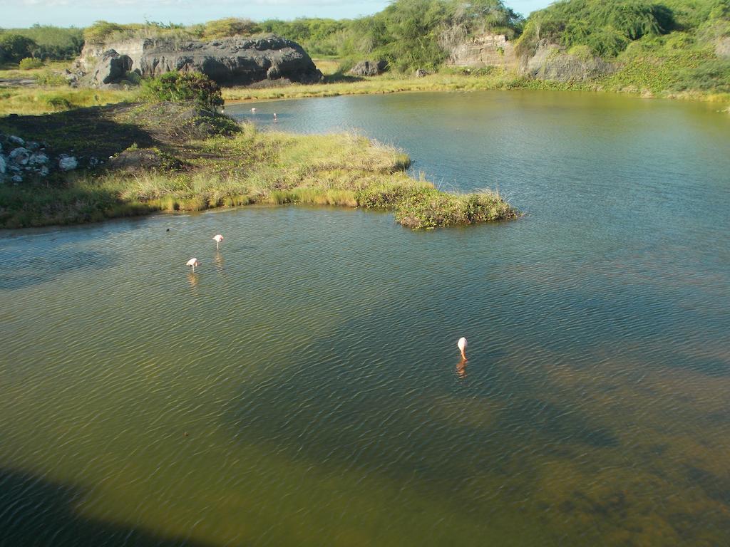 Paraiso De Isabela Puerto Villamil Zewnętrze zdjęcie